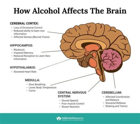 アルコール カビ：その存在と影響についての多角的考察